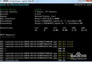 今日外网爆料视频最新  第1张